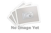 凝心聚力研命题,喜获殊荣载誉归 —— 我校地理教师团队在广东省中学地理教学评价暨教师命题比赛中斩获省级二等奖