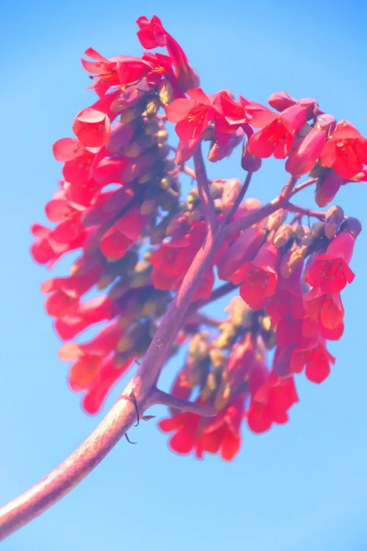 2.webp.jpg 2.webp.jpg