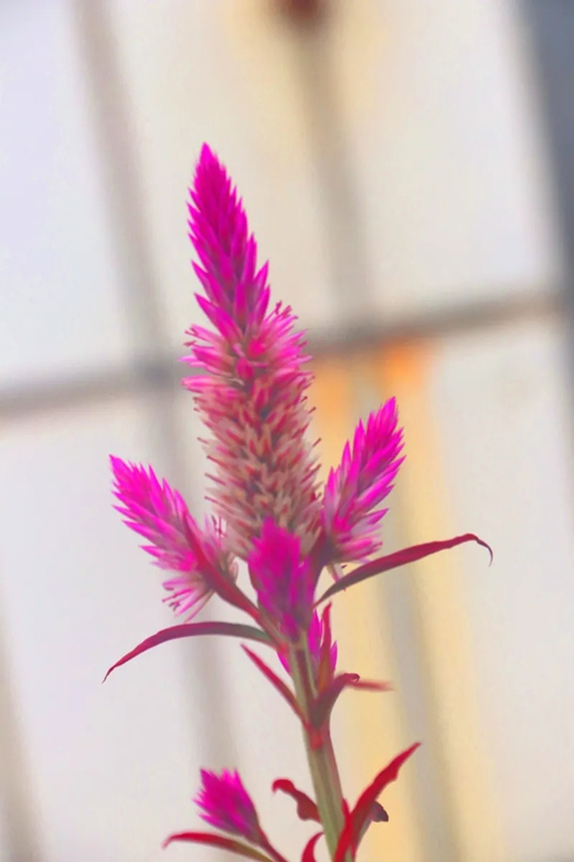 5.webp.jpg 5.webp.jpg