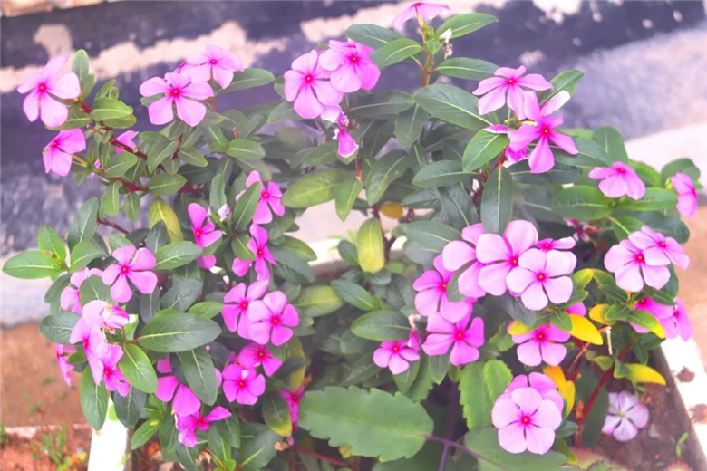 3.webp.jpg 3.webp.jpg