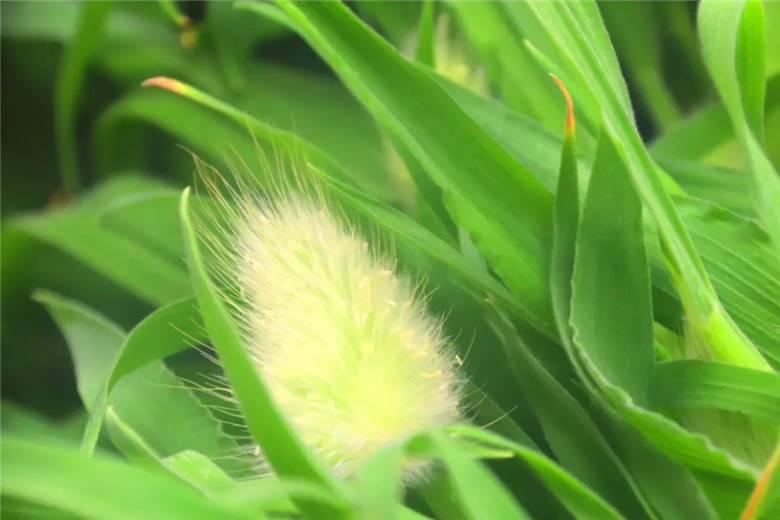 4.webp (1).jpg 4.webp (1).jpg