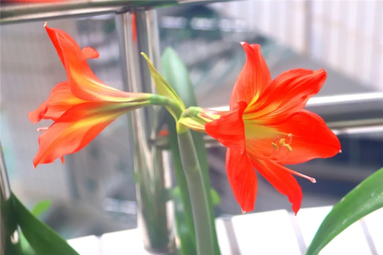 8.webp.jpg 8.webp.jpg