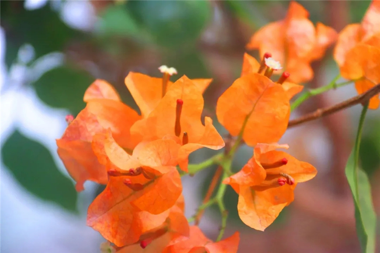 10.webp.jpg 10.webp.jpg