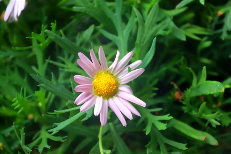 11.webp.jpg 11.webp.jpg