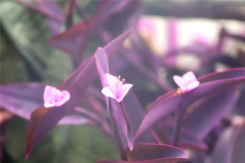 12.webp.jpg 12.webp.jpg