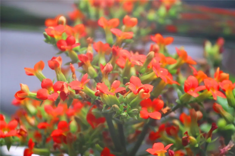 14.webp.jpg 14.webp.jpg