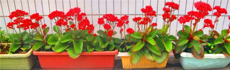 640.webp.jpg 640.webp.jpg