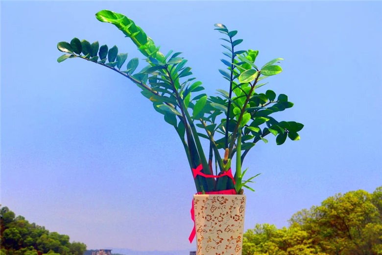 2.webp.jpg 2.webp.jpg