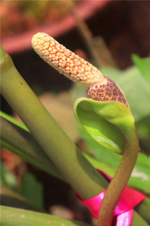 3.webp.jpg 3.webp.jpg